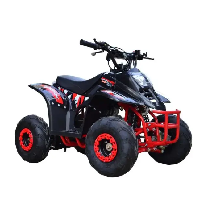 ATV pentru Copii pe Benzina 125cc Automat 2