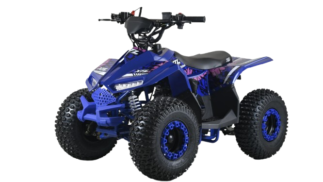 ATV copii XTL FALCON 110cc 3