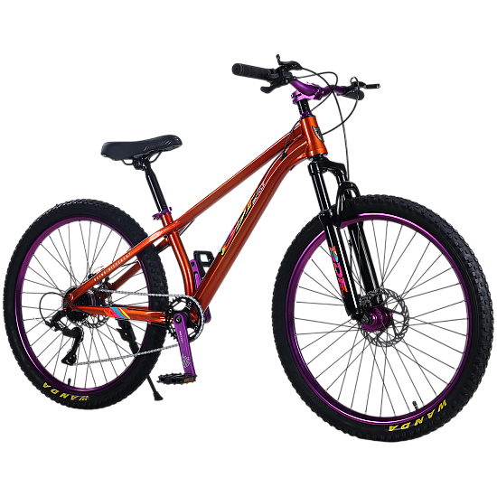 BICICLETA20RDB20BDF TPC202620ROSU20CU20VIOLET201 550x550w 1.png