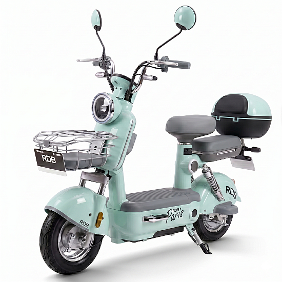 RDB20PARIS20PLUS20VERDE201 550x550 3.png