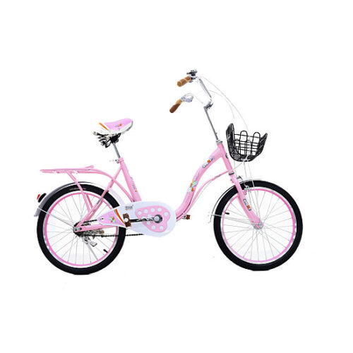 Bicicleta copii RDB-53 20″, 2022