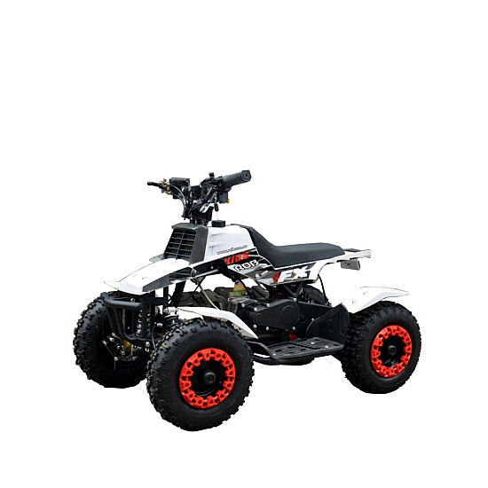 rdb fxatv esz electric 2 550x550 2.jpg