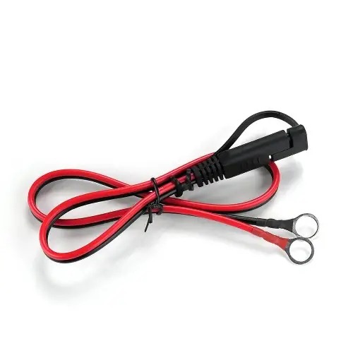 incarcator inteligent masinute electrice copii 12v 24v 3 2 11zon.jpg