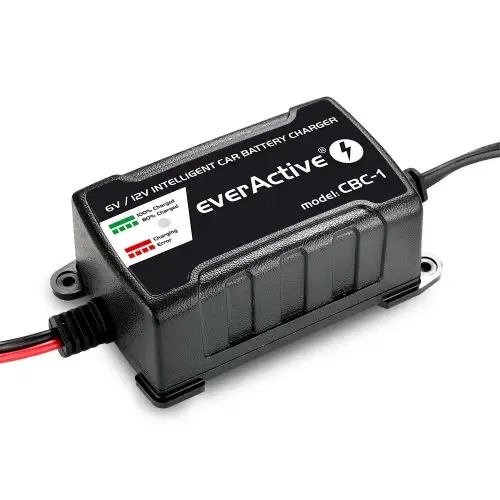 incarcator masinute electrice copii 6v 12v 3 3 11zon.jpg